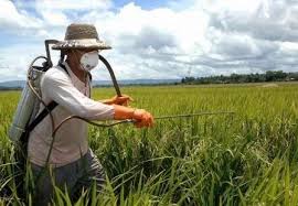 همراه شدن تکنولوژی و دانش موجب کاهش خسارت اقتصادی برای کشاورزان می‌شود