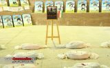 بیست و هفتمین یادواره 59 شهید قادیکلا برگزار شد