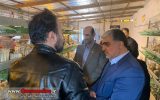 افتتاح طرح خود اشتغالی پرورش بلدرچین در سیاهکلا