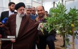 مردمی بودن، رئیسی را محبوب کرد مردمی بودن، رئیسی را محبوب کرد