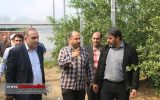 آئین افتتاحیه 90 گلخانه در روستای خرماکلا قائم شهر