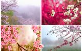 به جای عبور؛ مازندران را زندگی کنیم