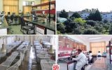 در بی‌تدبیری مسئولان؛ مهم‌ترین پژوهشکده اکولوژی شمال‌ تعطیل شد