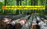 قاچاق چوب؛ تهدیدی بیصدا برای جنگلهای مازندران قاچاق چوب؛ تهدیدی بیصدا برای جنگلهای مازندران